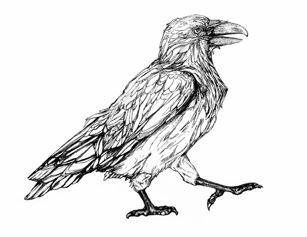RavenInkadj2opt RavenInkadj2opt